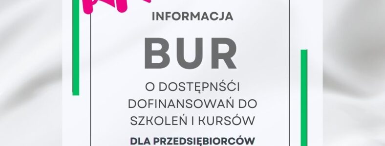 Projekt „Usługi rozwojowe – inwestycja w kapitał ludzki w podregionie konińskim”. 